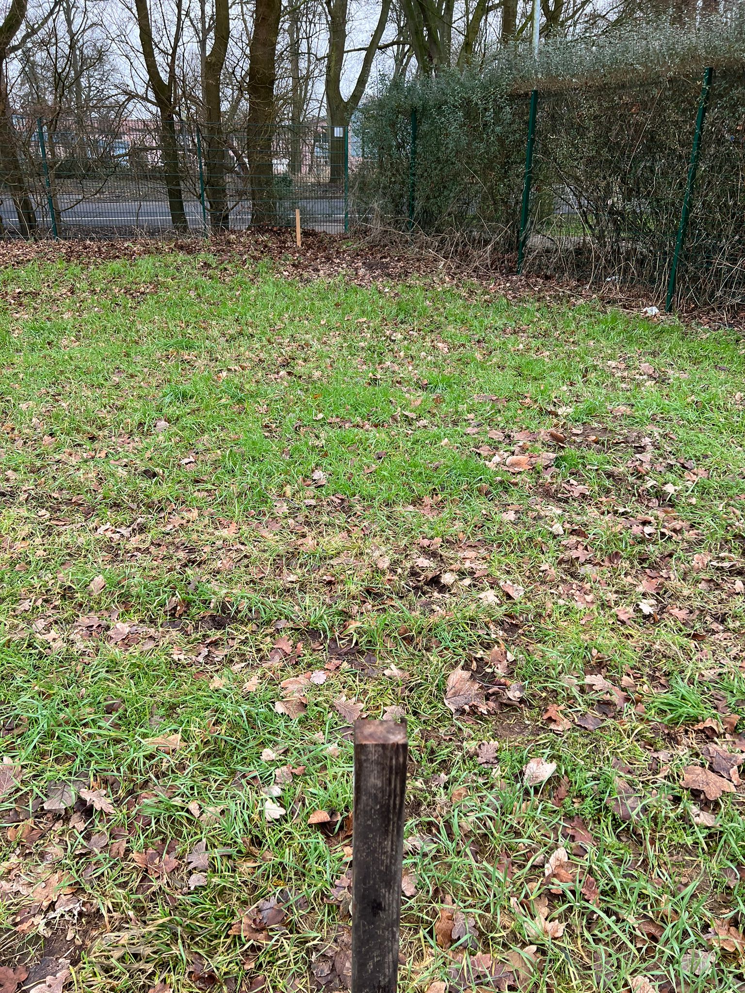 Boule1 (1)