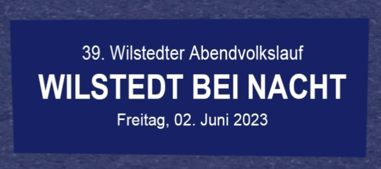 Wilstedt bei Nacht