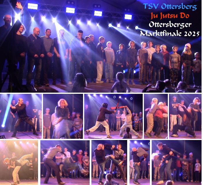 Auch die Gruppe Ju Jutsu Do war auf dem Markt dabei und zeigte diverse Abwehrtechniken.